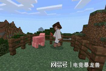 超适合小学生玩的五款游戏第一款是童年回忆第三款是玩家信仰买球软件(图7) 超适合小学生玩的五款游戏第一款是童年回忆第三款是玩家信仰买球软件(图7)