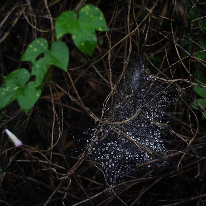 买球软件玉渊潭公园举行文明游园活动小朋友做游戏了解垃圾分类知识(图3) 买球软件玉渊潭公园举行文明游园活动小朋友做游戏了解垃圾分类知识(图3)