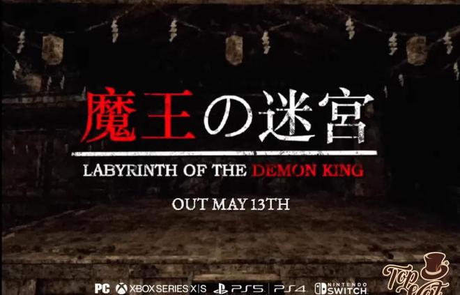 2025年5月Switch新作发售表:幻想生活、鬼武者2、战场赋格曲3等(图4) 2025年5月Switch新作发售表:幻想生活、鬼武者2、战场赋格曲3等(图4)